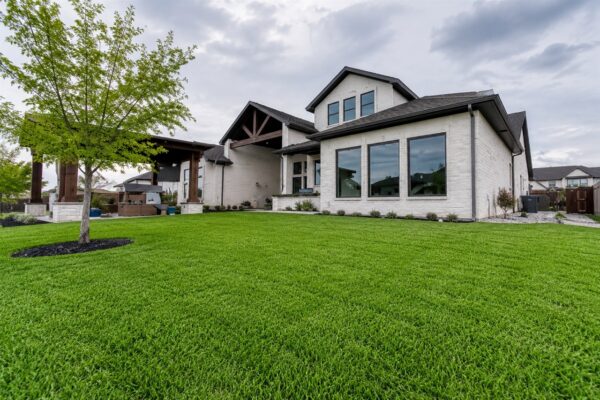 Landscape-Turf